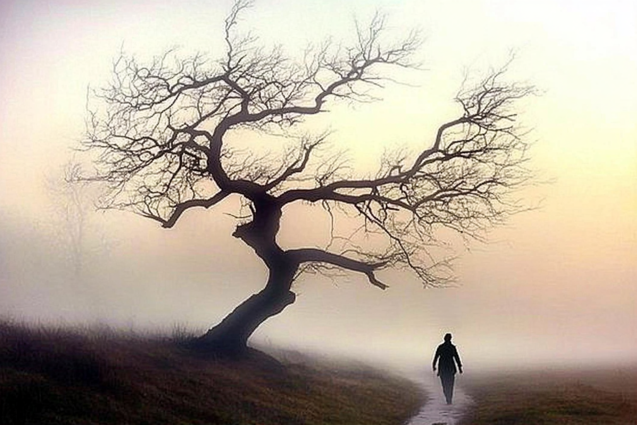18 lone_person_walks_down_a_foggy_path_in_the_f_39f8fbad-6bf5-4fbc-bab1-36831ebf6903.png